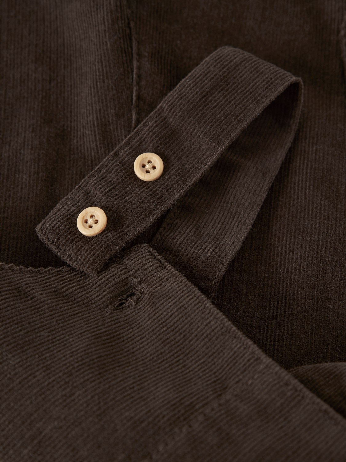 model_shot-front_full